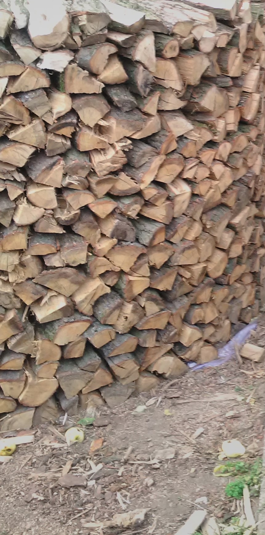 Holzmiete erstellen - Brennholz