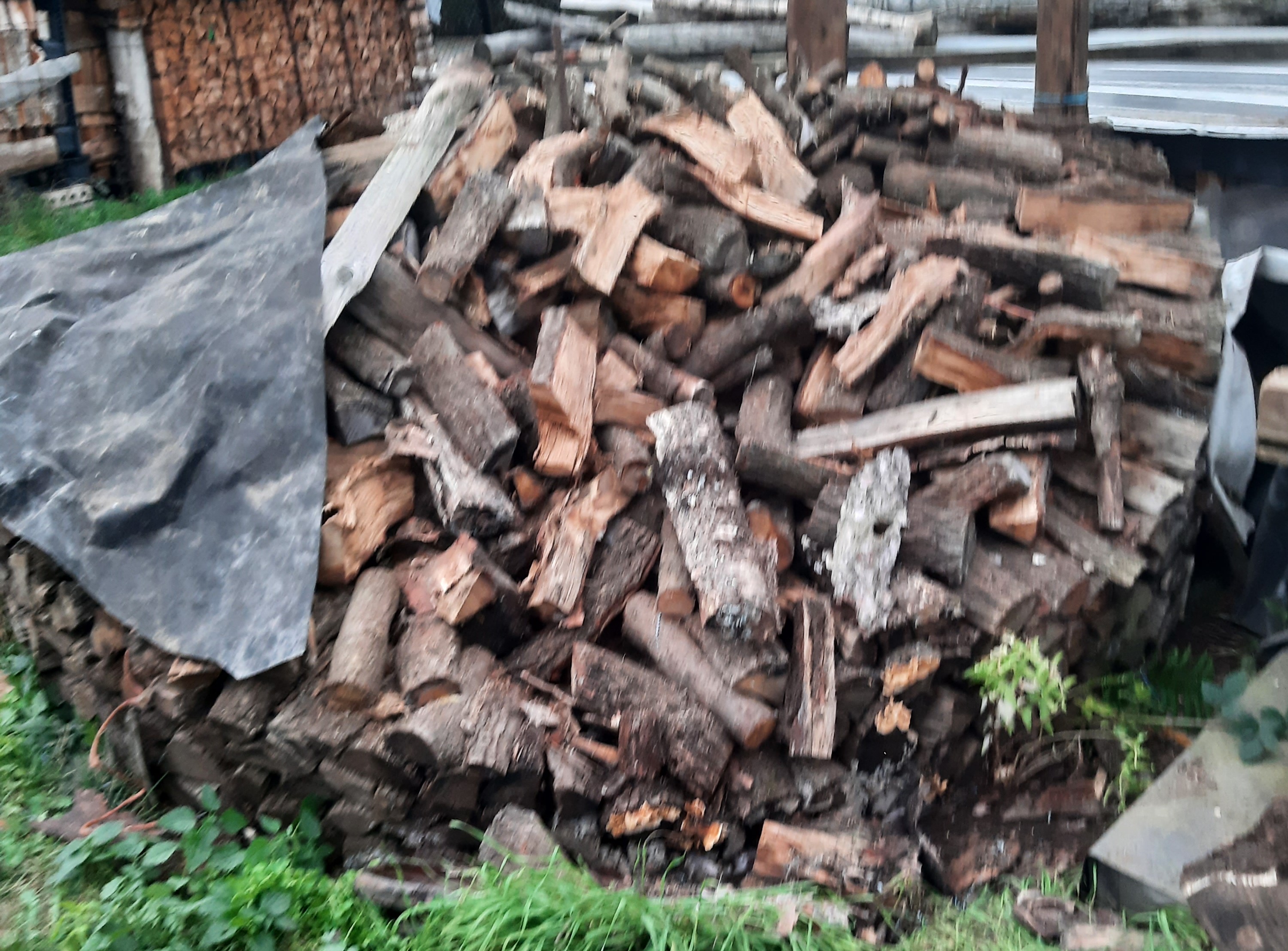 Brennholz sortenreines Eichenholz Scheitlänge ca 40 cm mit Knüppelholz getrocknet 3 Jahre aus Holzmiete-luftgetrocknet