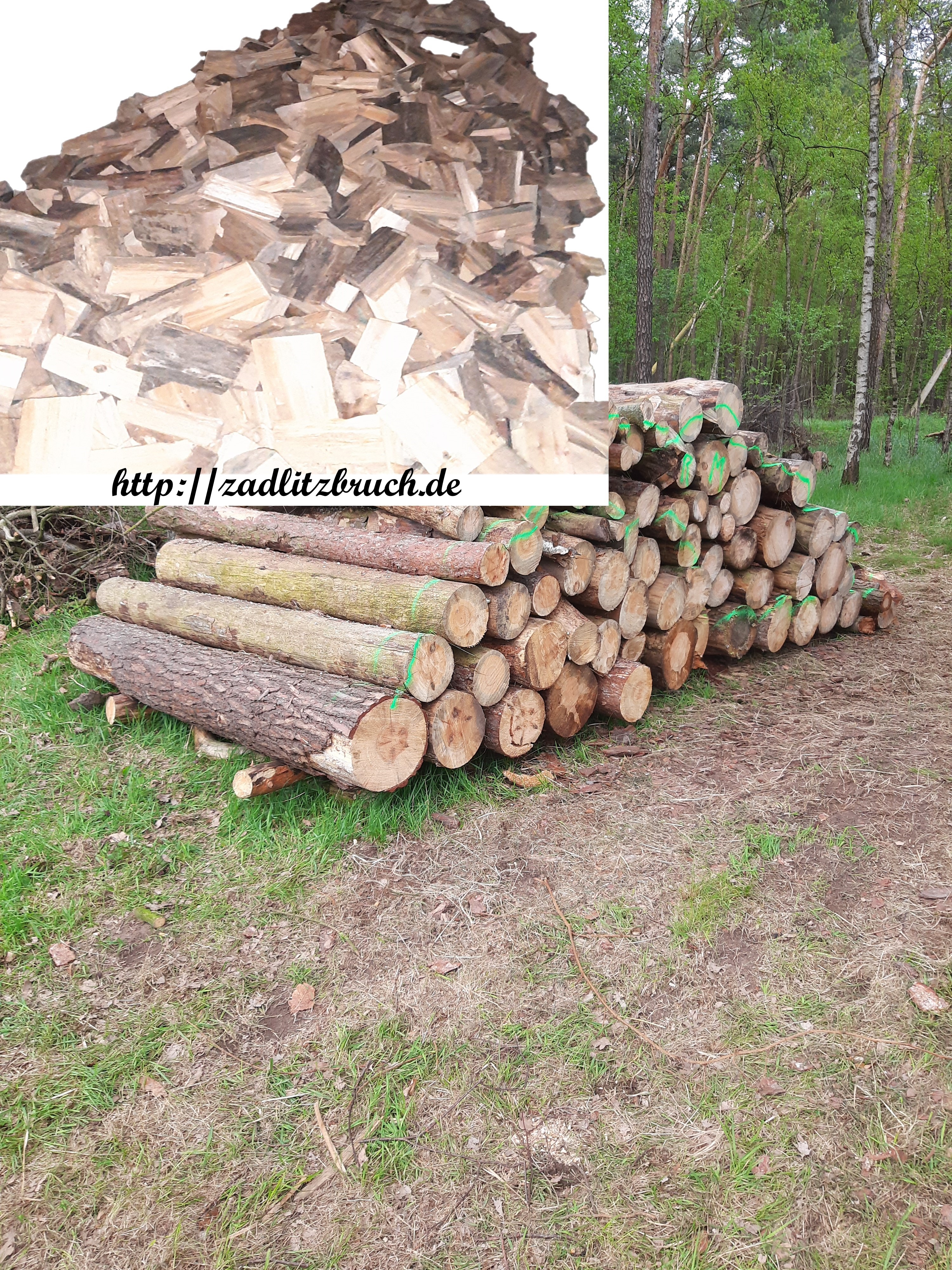 Trockenes Brennholz - sortenreines Kiefernholz trocken 25 cm