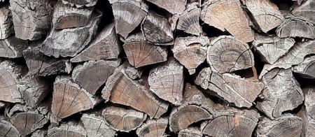 Trockenes Brennholz - sortenreines Kiefernholz Scheitlänge 48cm